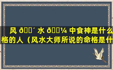 风 🌴 水 🌼 中食神是什么命格的人（风水大师所说的命格是什么意思）